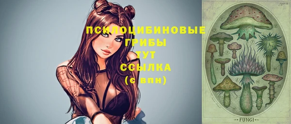 не бодяженный Алексин